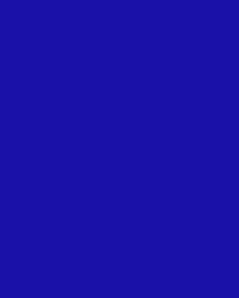 A one-bit portrait of the prover, assembling out of its own pixels and clearing again